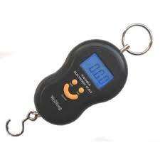 PORTABLE ELECTRONIC SCALE