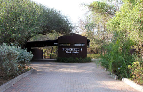 Burchell`s Bush Lodge - 27 August 2021 to 2 September 2021