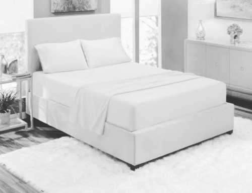 4 Piece White Cotton Sheet Sets -Queen