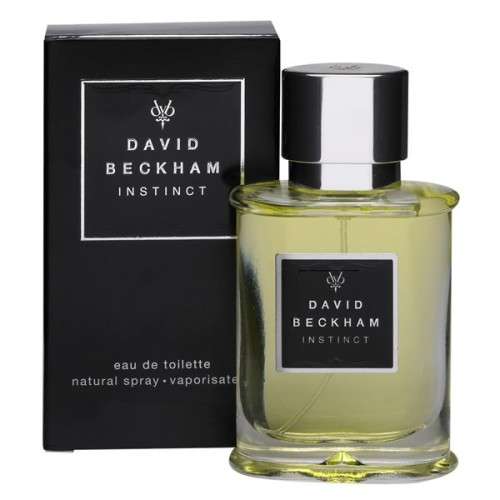 David Beckham Instinct for Men 50ml EDT