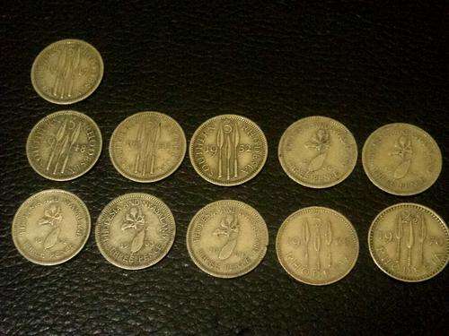 Rhodesian 3d's