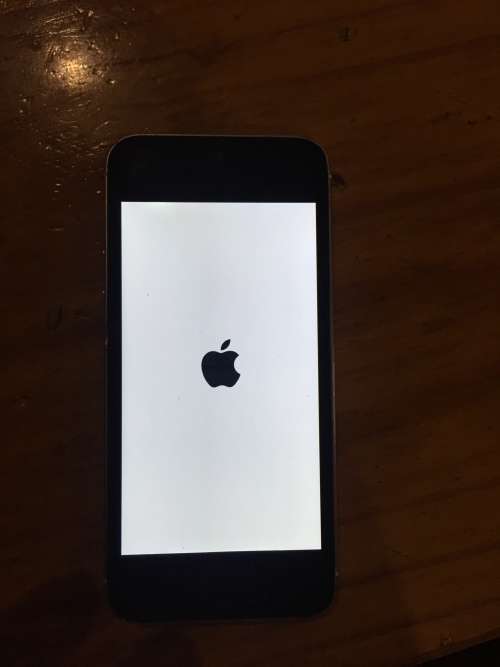apple iphone 5s