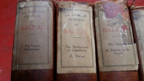 SET OF 12 ANTIQUE BOOKS : LA COMEDIE HUMAINE OF HONORE DE BALZAC