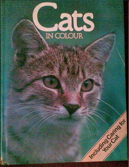 Cats in Colour-including caring for cats-by Cathay Books