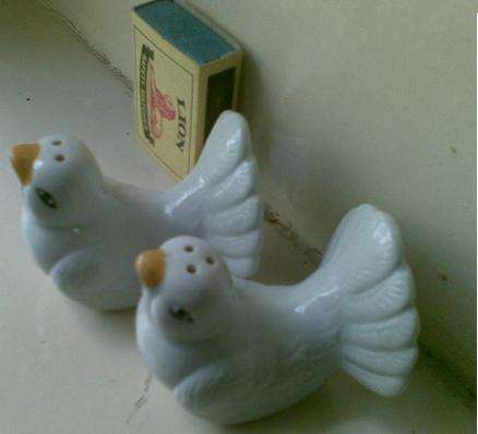 Dove salt & pepper set never been used only as display