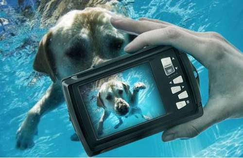 Underwater 10MP Camera