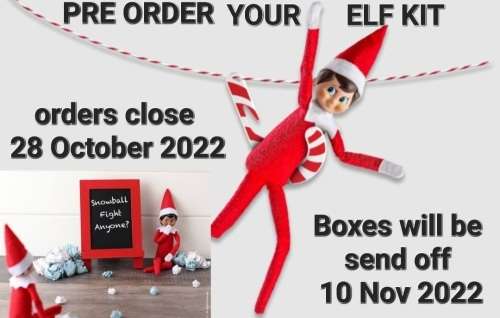 Elf on the shelf sibling kit with activities