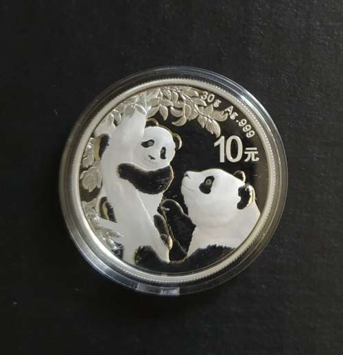 RARE 2021 CHINESE PANDA 30 G PURE SILVER COIN (CAPSULED)(UNC)