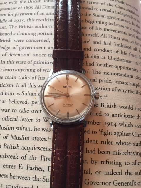 Vintage Delfin Watch