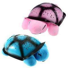 Turtle Night Sky Constellations