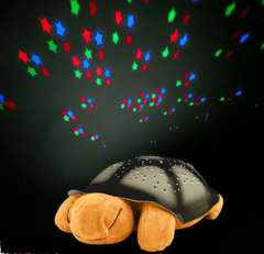 Turtle Night Sky Constellations