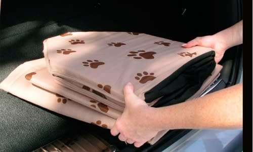 Portable Dog House