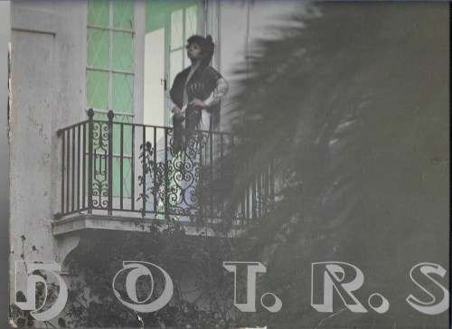 HOT .R.S. (LP RECORD)