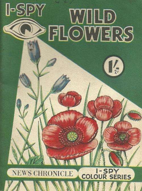 News Chronicle I-SPY Colour Series : Wild Flowers