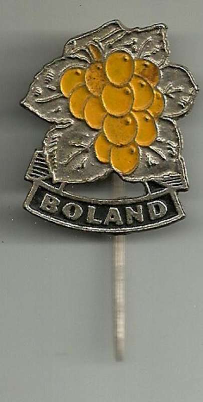 Boland Rugby Union Vintage Pin Badge