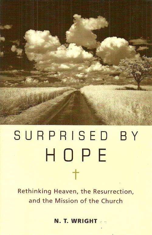 Surprised By Hope by N.T. Wright ( Hard Cover )