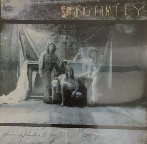 SHAKING FAMILY - Dreaming in Detail LP Vinyl Record ( New and Sealed )