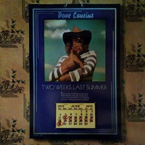 Dave Cousins - Two Weeks Last Summer LP Vinyl Record - UK Pressing