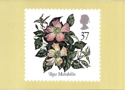 Great Britain - 1991 9th World Conference of Roses Full Set of 5 PHQ Stamp Cards