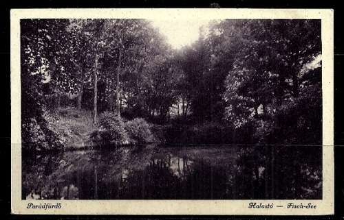 Parádfürdö - Halasto - Fisch See - Hungary Vintage Postcard