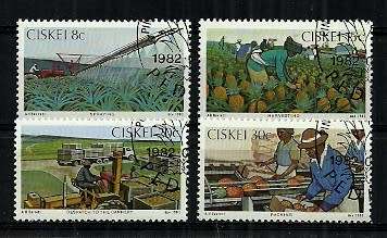 Ciskei - 1982 Pineapple Industry Full Set of 4 VFU