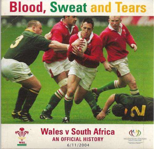 Blood, Sweat and Tears - Wales v South Africa an Official History DVD