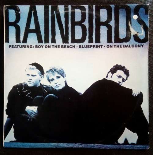Rainbirds - Rainbirds LP Vinyl Record