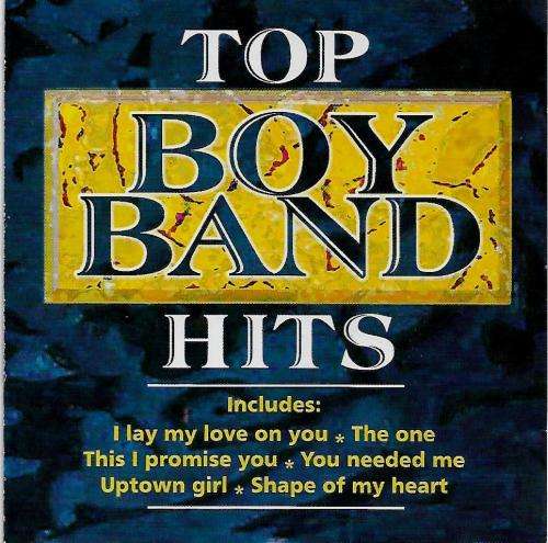 Top Boy Band Hits ( CD )