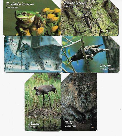 Poland Collection of 6 Phonecards