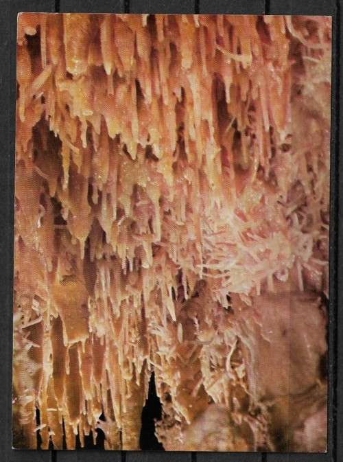 Chrystal Forest, Cango Caves, Oudtshoorn - South Africa Postcard