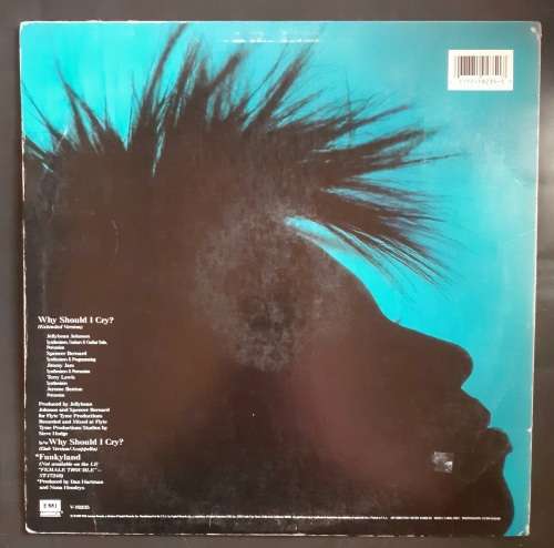 Nona Hendryx - Why Should I Cry? 12` Single Vinyl Record - USA Pressing