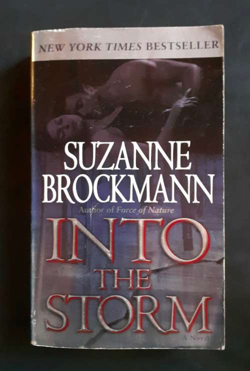 Into The Storm by Suzanne Brockmann