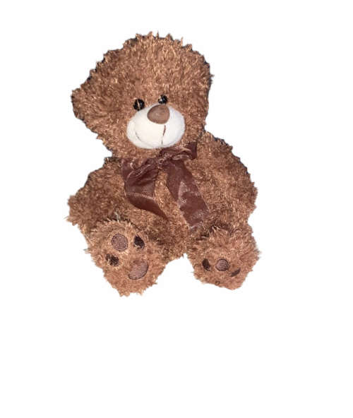 Teddy Bear Small Plush