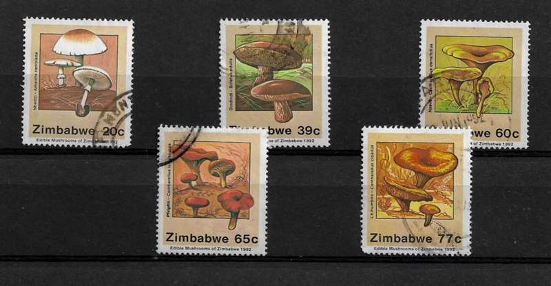 Zimbabwe - 1992 Edible Mushrooms Part Set of 5 Stamps Fine Used