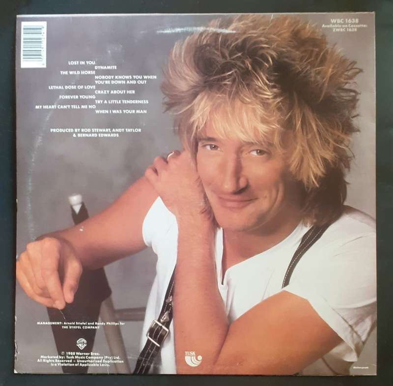 Rod Stewart - Out of Order LP Vinyl Record