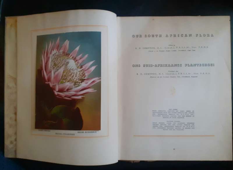 Our South African Flora Cigarette Cards Album - Complete