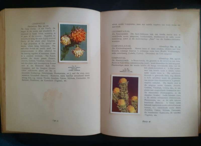 Our South African Flora Cigarette Cards Album - Complete