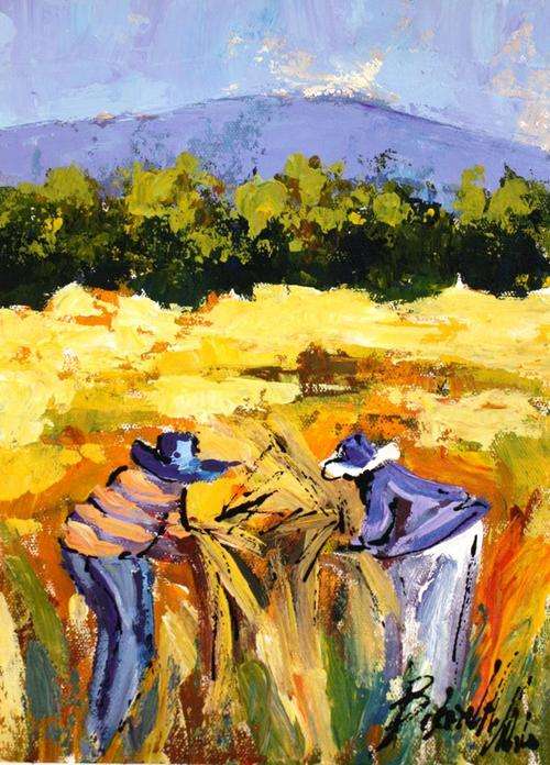 Harvesting 4 - Bekezela