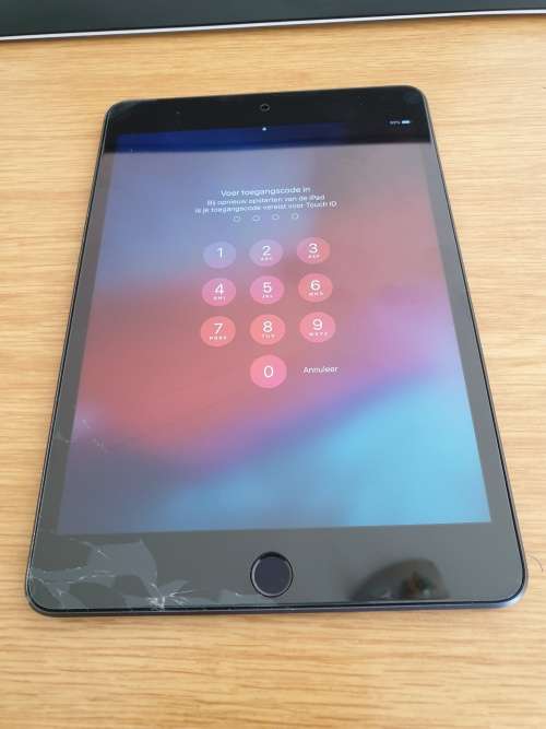 Apple iPad Mini 5th Gen Wifi 256GB Space Grey