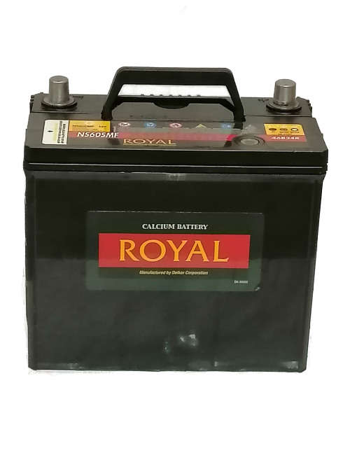 12v 45ah Royal deep cycle battery