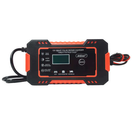 12V Intelligent Pulse Repair Charger for 2 - 100ah battteries