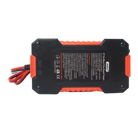 12V Intelligent Pulse Repair Charger for 2 - 100ah battteries