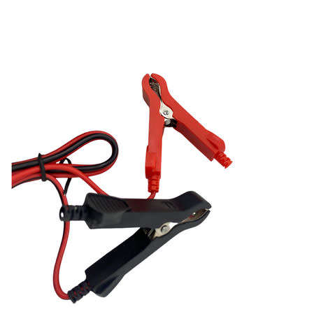 12V Intelligent Pulse Repair Charger for 2 - 100ah battteries