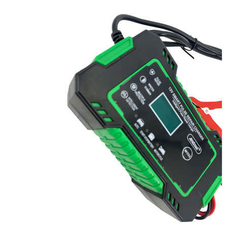 12V Intelligent Pulse Repair Charger for 2 - 100ah battteries