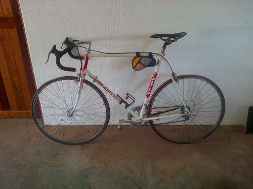 Alpina Racing Bike