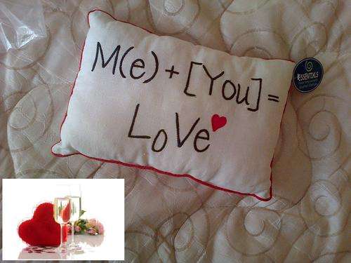 Give an unusual VALENTINE's GIFT - Unique message shatter cushion!!