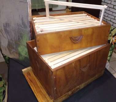 Complete Beehive