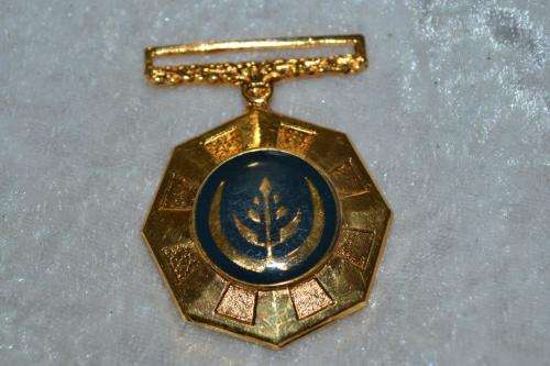 SADF Pro Patria Medal. Full Size, Fixed suspender medal. No ribbon.