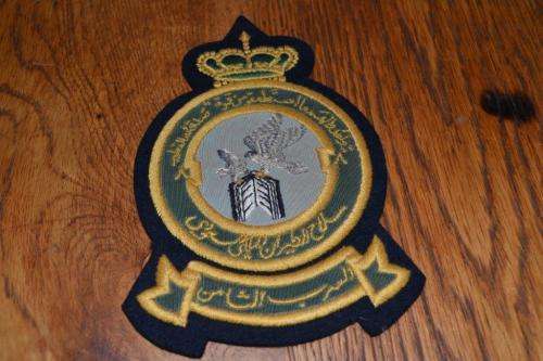 Blazer Badge Air Force