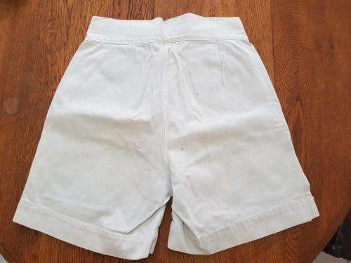 Navy Shorts